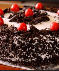 Gloomy Black Forest