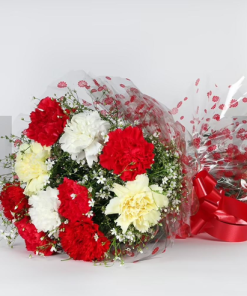 Carnatious Love