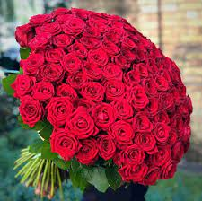 100 Roses