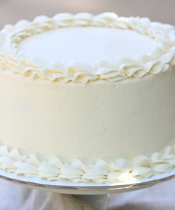 Unembellisshed Vanilla Cake