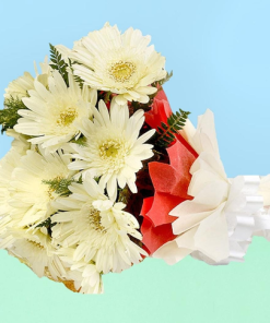 Glamourous Gerbera